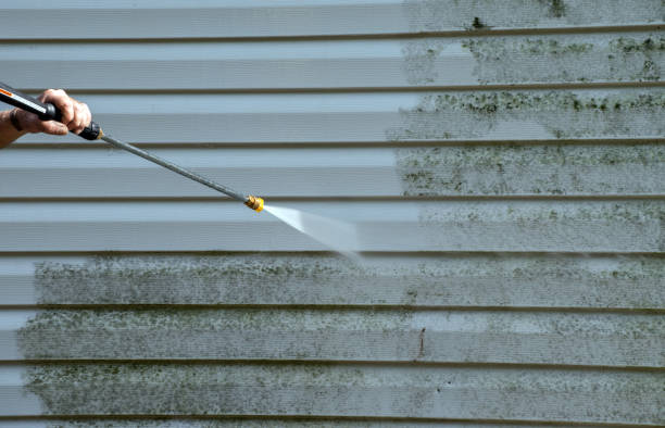 Best Sidewalk and Walkway Cleaning  in Circleville, OH